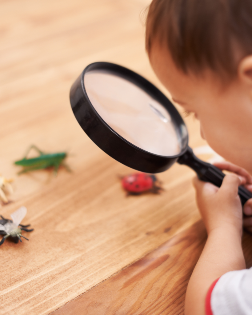 Inspecter les articles du vide grenier