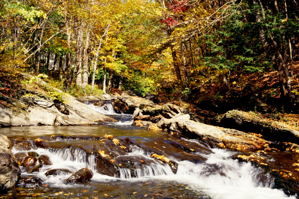 Région de l'Estrie