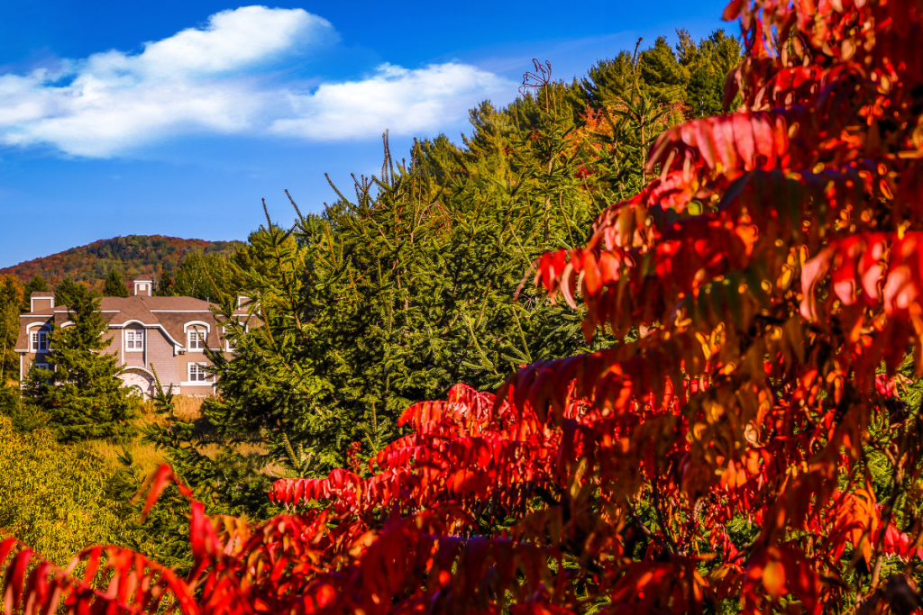 Région des Laurentides