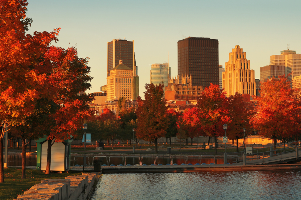 Agglomération de Montréal