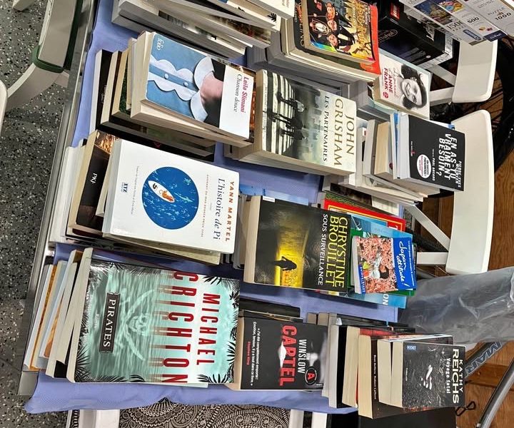 vente de garage - livres et casse-tête