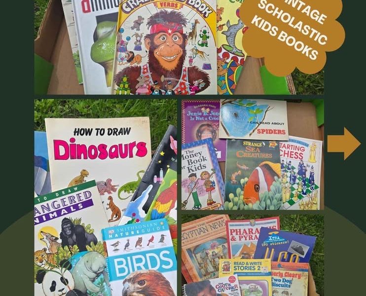 POINTE-CLAIRE GARAGE SALE/VENTE DE GARAGE SAT JUNE 6TH 2026