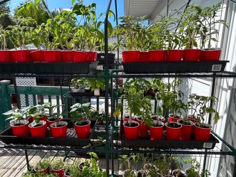 Vente de garage.Dimanche 24 mai.