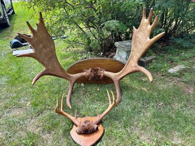 VIDE GRENIER/ VENTE DE GARAGE 8-9 AOÛT, CHASSE, PÊCHE, CUISINE, COUTEAUX ET PLUS…