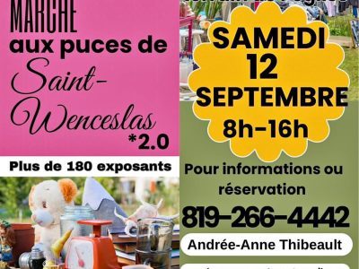 Marché aux puces / Vente de garage à Saint-Wenceslas
