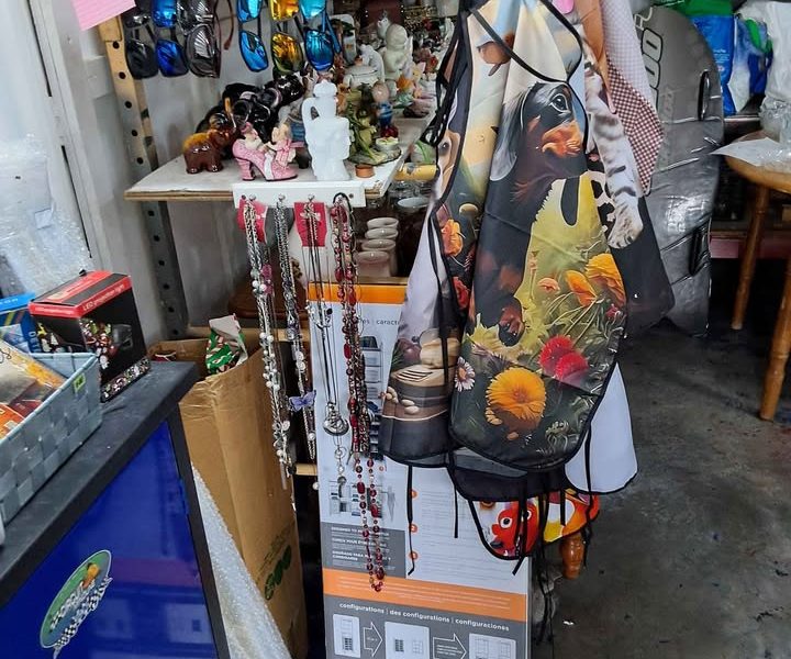 Vente de garage à Alma