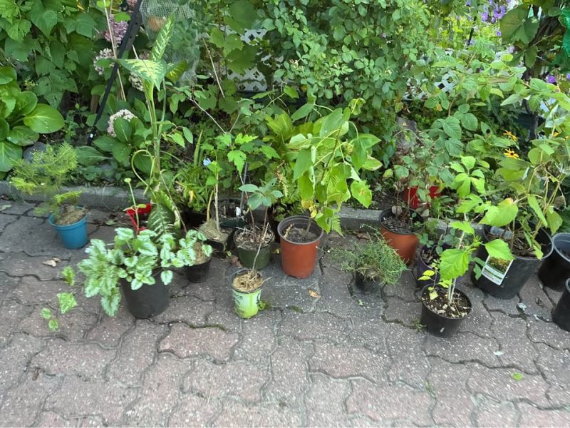 vente de garage à Longueuil